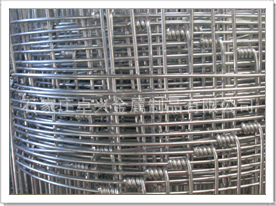 熱鍍鋅草原網 優質草原防護網價格、廠家與產品介紹